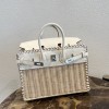 HERMES BIRKIN 25 PICNIC 피크닉