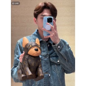 [루이비통] 모노그램 POOCH BAG