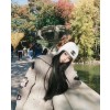 [샤넬] COCO NEIGE 스웨터